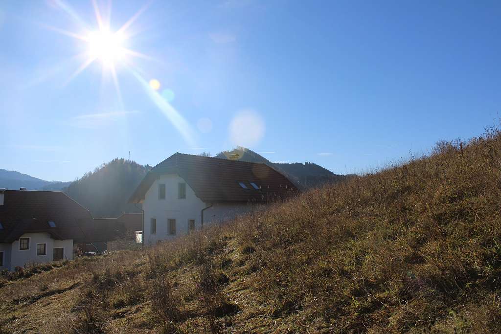Doppelhäuser in Seitenstetten